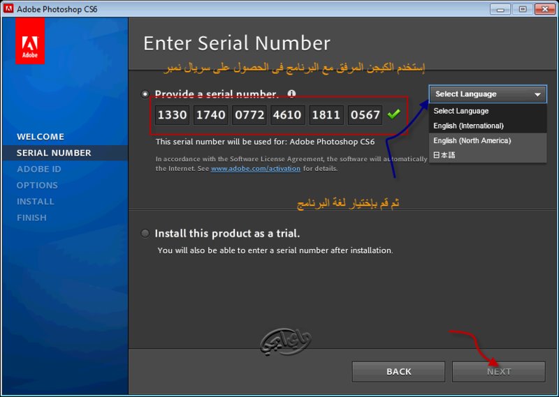 purchase adobe cs6 serial number